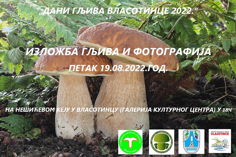 vlasotince1.jpg